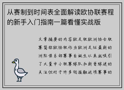 从赛制到时间表全面解读欧协联赛程的新手入门指南一篇看懂实战版